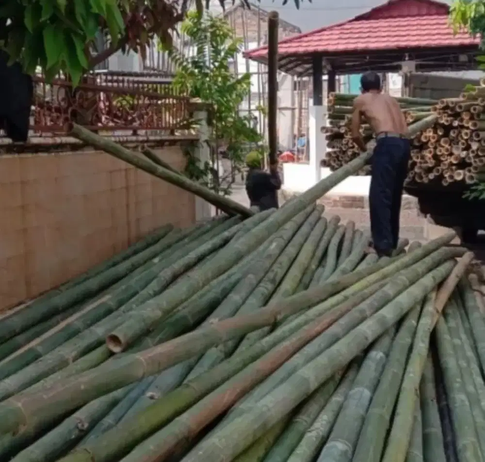 Jual Dolken,bambu,kaso dll