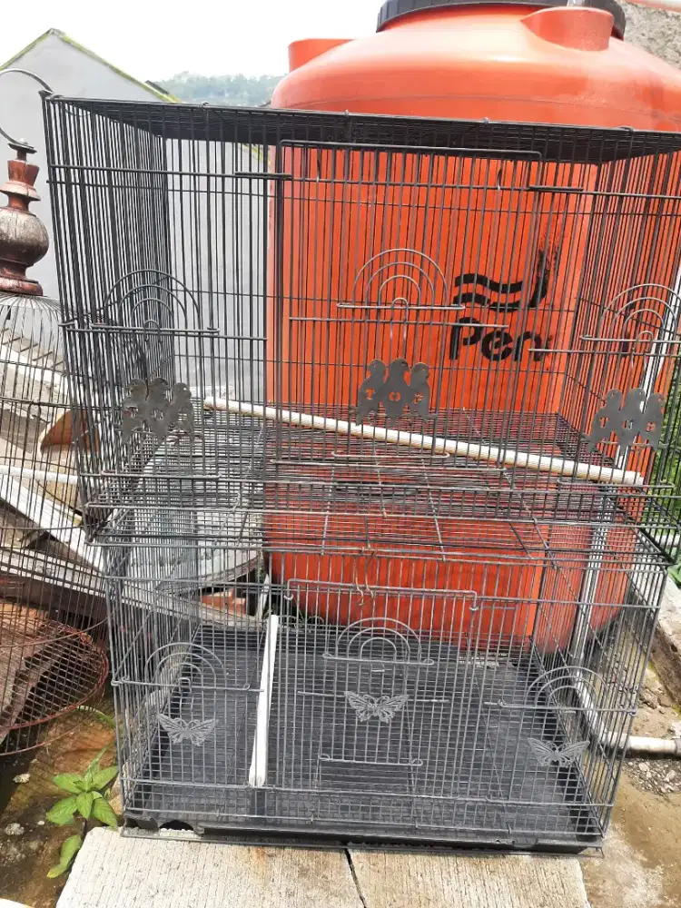 Sangkar burung kotak