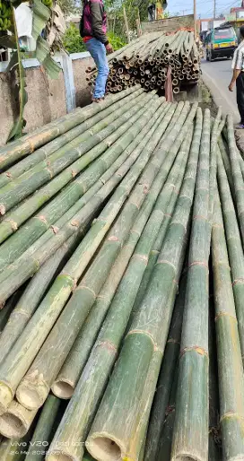 Jual bambu buat steger dan tihang coran