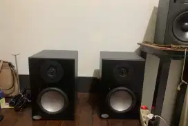 Speaker recording blueSky 1 pair ( 2 pics )