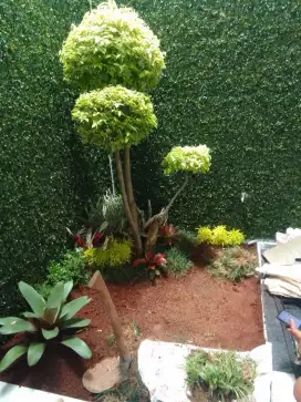 Taman indoor minimalis