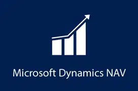 Special License Developer DynamicsNav and BC.Onprem(Backdate-able)