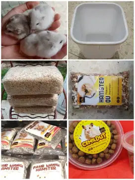 Paket Hamster ( Winter White, Box, Makan, Cemilan, Pasir, Serbuk )