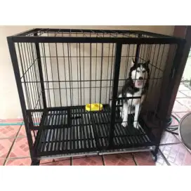 Kandang anjing besi 234