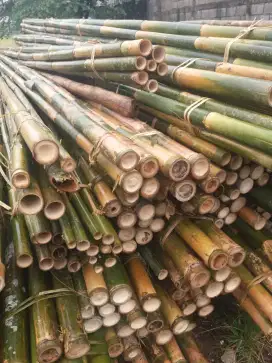 Jual bambu untuk kontruksi dan lainnya