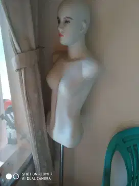 Manakin display baju