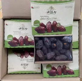 Kurma medjoul palestina