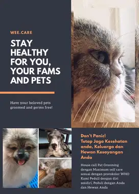 Grooming perawatan anjing kucing
