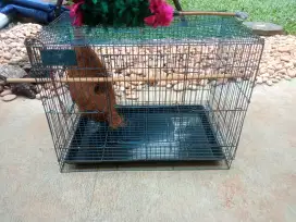 Kandang burung, sugar glider dll ukuran sedang 45x35x35