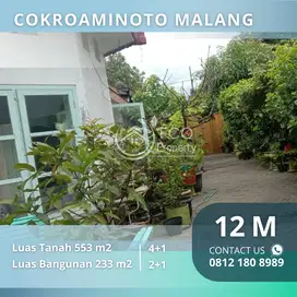 Dijual Rumah Jalan Cokroaminoto Malang Kota Super Strategis