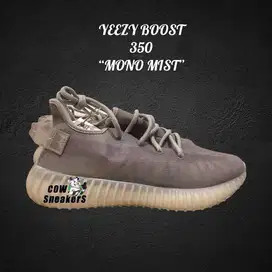 Adidas Yeezy Boost 350 V2 “Mono Mist”