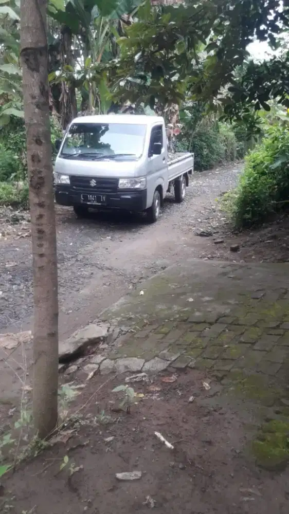 Carteran Pick Up Suzuki Carry 2022 Luar kota I Dalam Kota I