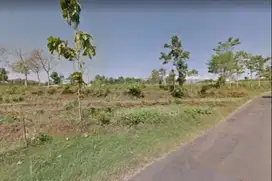 Tanah Sawah/Perkebunan Murah Kawasan Lumbang