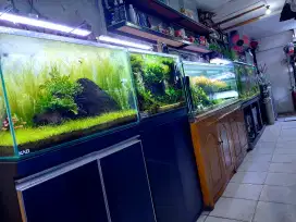 Aquarium Aquascape