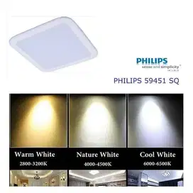 Lampu Ceiling Led Petak Square PHILIPS MESON 9w 9 Watt 59451 Tanam