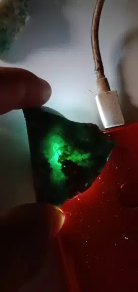 bacan doko majiko ( 503817 )