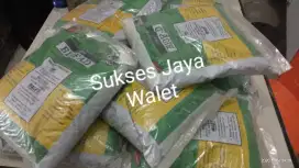 BIOFAD# MIKROBA pencernak bahan organik