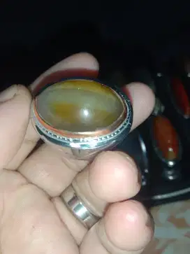 Batu Akik Pandan Kapas Dek Ani