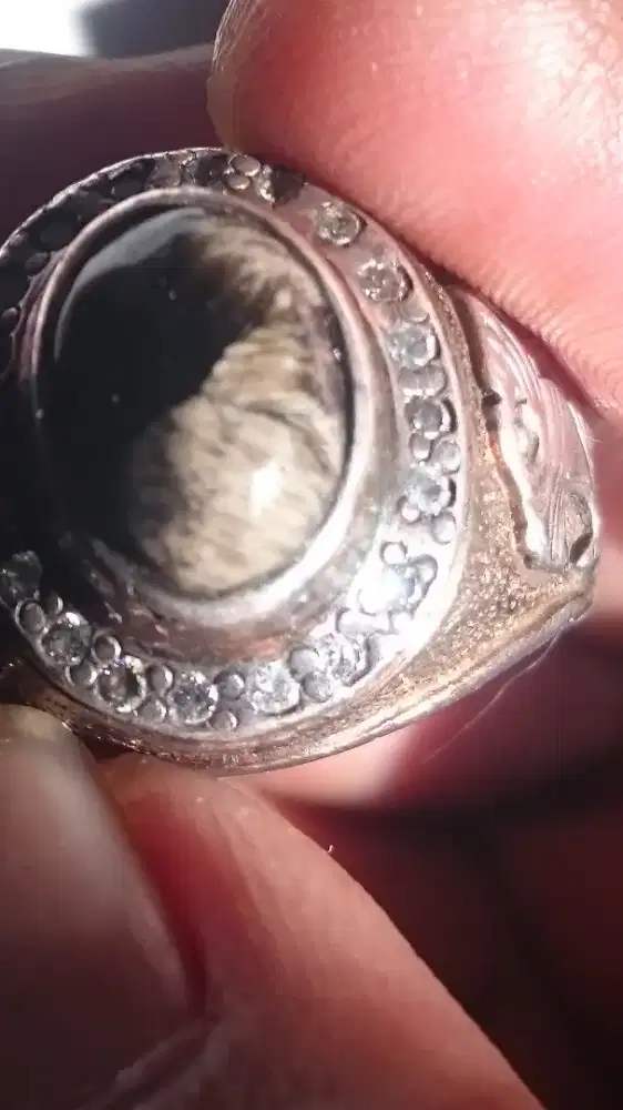 Bulumacan ring perak