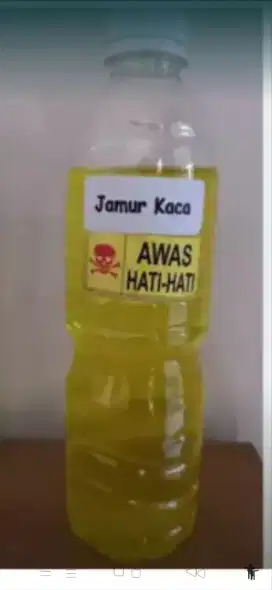 Obat Jamur kaca