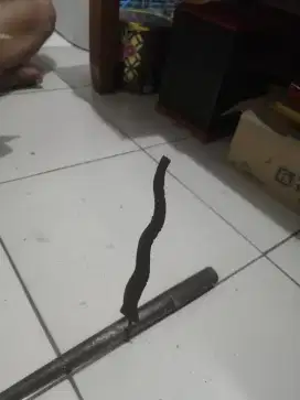 keris luk 5 temuan membatu