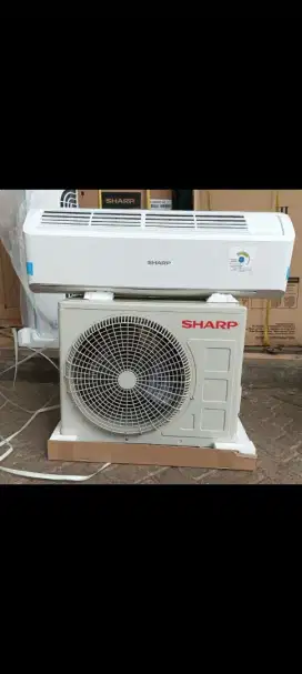 Ac sharp Bey 0.5 pk
