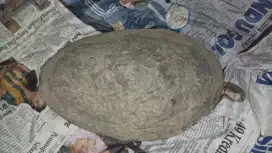 Fosil kerang antik kuno