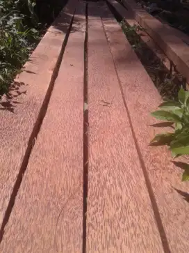 Glugu/kayu kelapa(bisa cod)