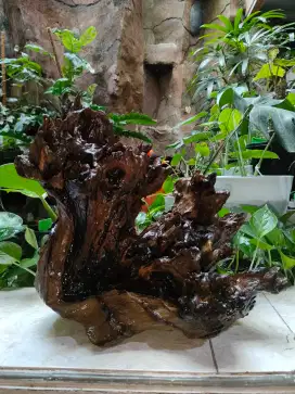 Kayu Hiasan utk hiasan dalam aquarium dsb nya