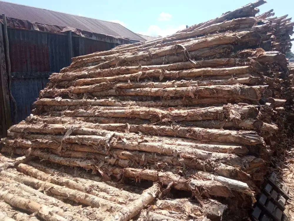 Jual kayu galam