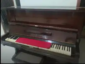 Piano halle bitter