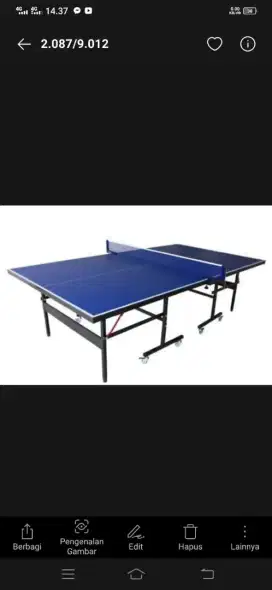 Jual Meja Pingpong