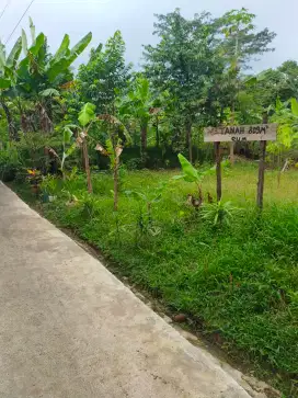 tanah kavling jl. dr Cipto Manungkusumo
(Sebrang tugu patung pemuda )