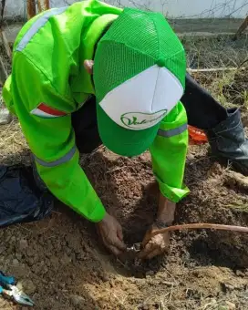 PENANGKAL PETIR | PENYALUR PETIR UNTUK TAMBANG BATU BARA & PERKEBUNAN