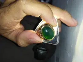 hijau garut ijo garut lumut garut