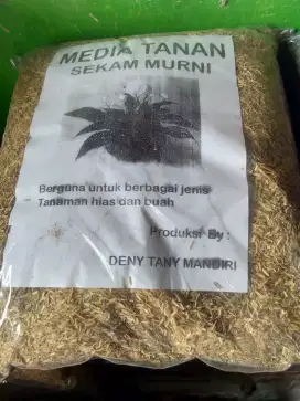 Sekam mentah/gabah