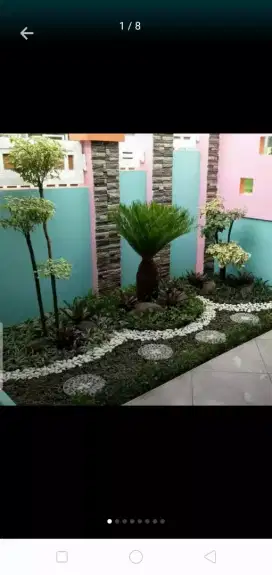Tukang taman_Jual pohon kucay mini bikin taman