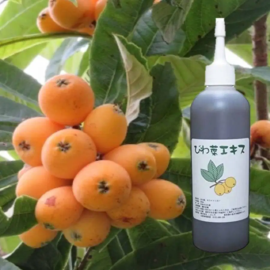 [JUAL SATU-BOTOL] Sari Daun Biwa 300ml