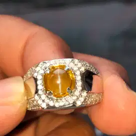 Cat Eye Chrysoberyl 1.51 ct kristal bening tali tajam