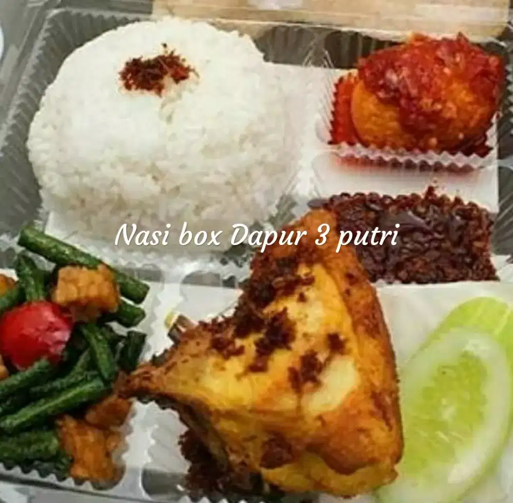 Nasi box+Snack box