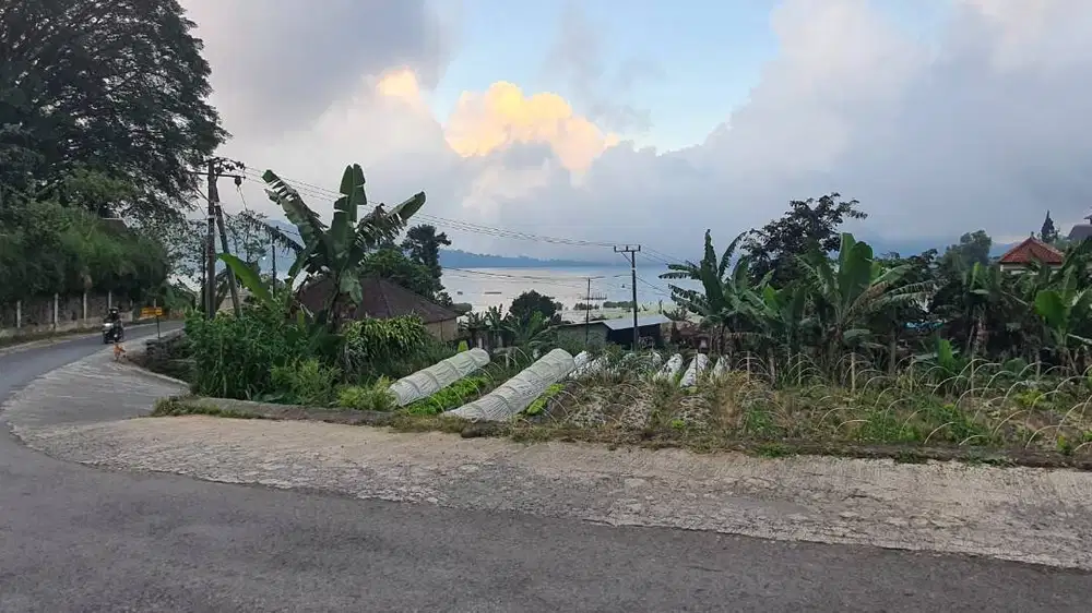 Tanah MURAH Hanya 350 Meter Dari Danau Beratan Bedugul Unblocked View!