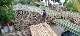 Jual kayu proyek