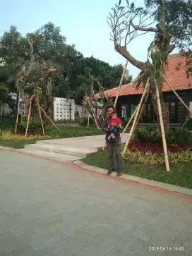 Jasa pembuatan taman