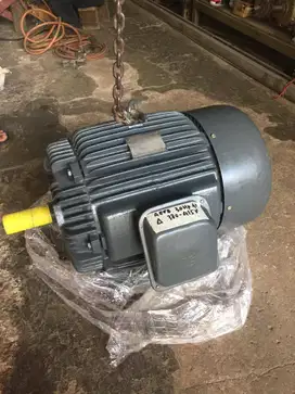 DINAMO TECO 30HP 22KW 4P - ELEKTRO MOTOR - 1450 RPM
