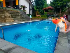 Disewakan Villa 8 Puncak Bogor