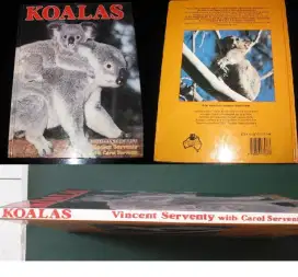 Mengenal KOALA dari Australua