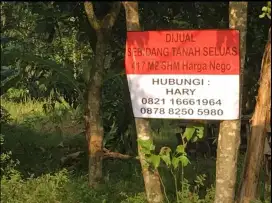 Jual Cepat Tanah padat Murah siap bangun Rumah