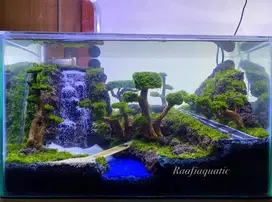 Aquascape jalanan 2022 good looking