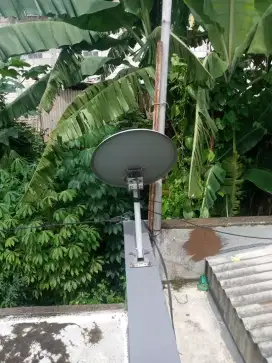 Parabola kvision bebas iuran gratis bandung