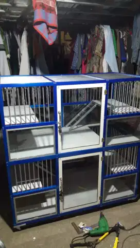 Rumah kucing murah berkualitas